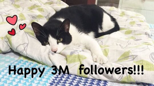 11856683_870484136380693_1533089634_n