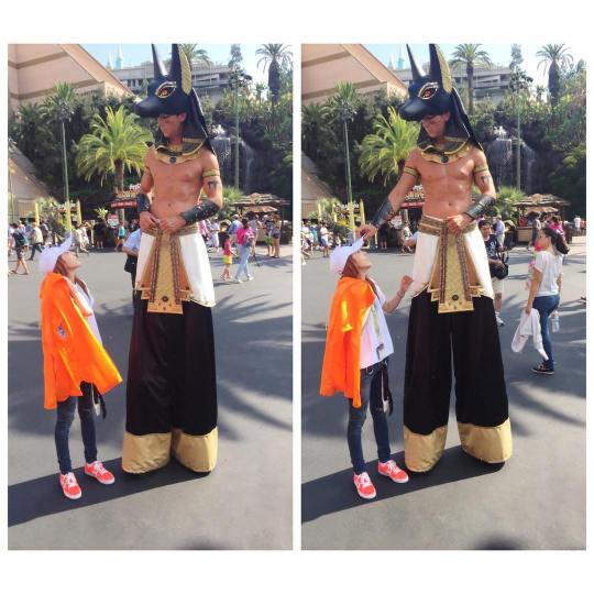 1391332_905099576212585_757684950_n