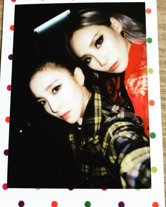 12331755_1706570206225229_1011529090_n