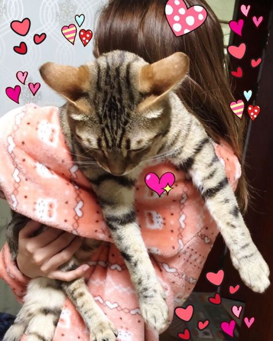 12356403_1557749447799833_864073971_n