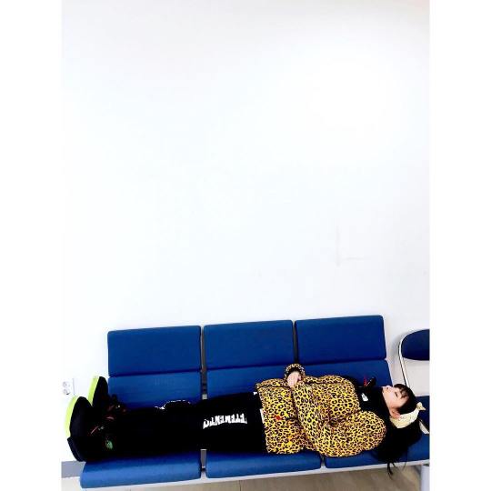 12383297_571950009636174_433687630_n