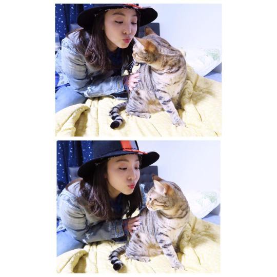 13092232_1748207242102962_1957004841_n