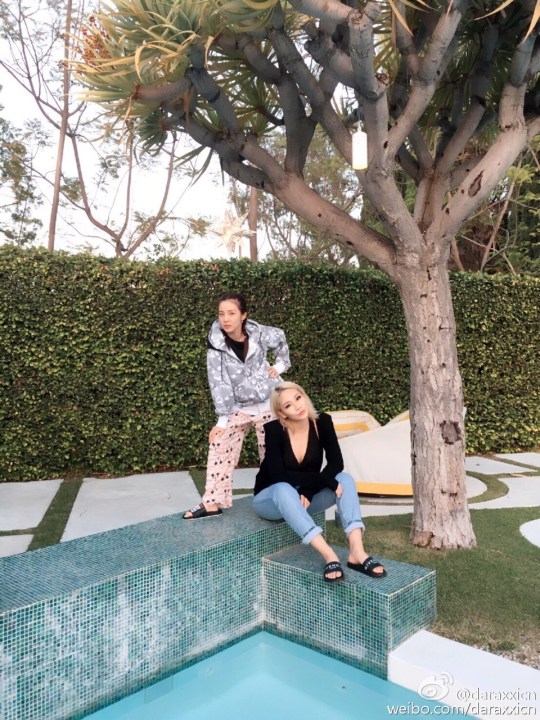 005ZvdSDgw1f4jg9xhtwbj30qo0zlk6a