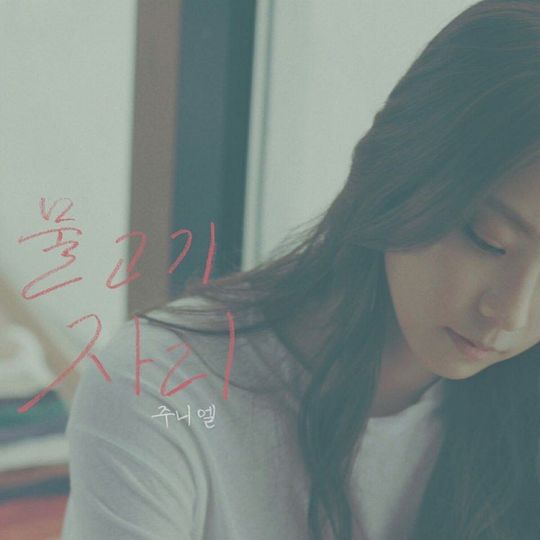 13556860_1632185577099300_433786624_n