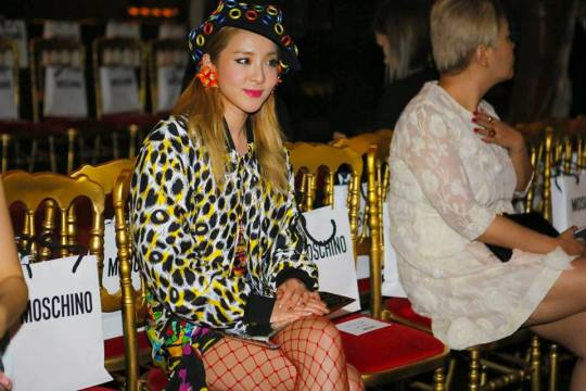 14370112_1078362455575355_3756570403462974863_n