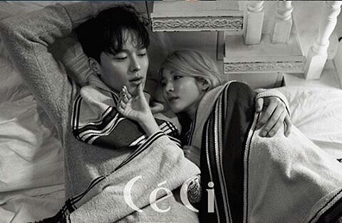 14705081_369929726705845_4066977392407609344_n